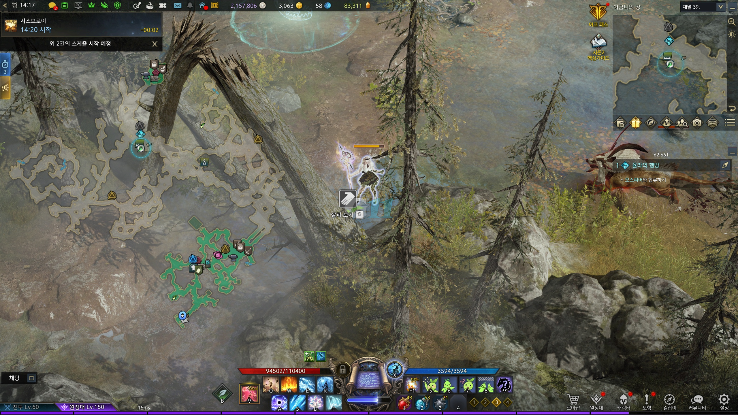 어금니의강 모코코