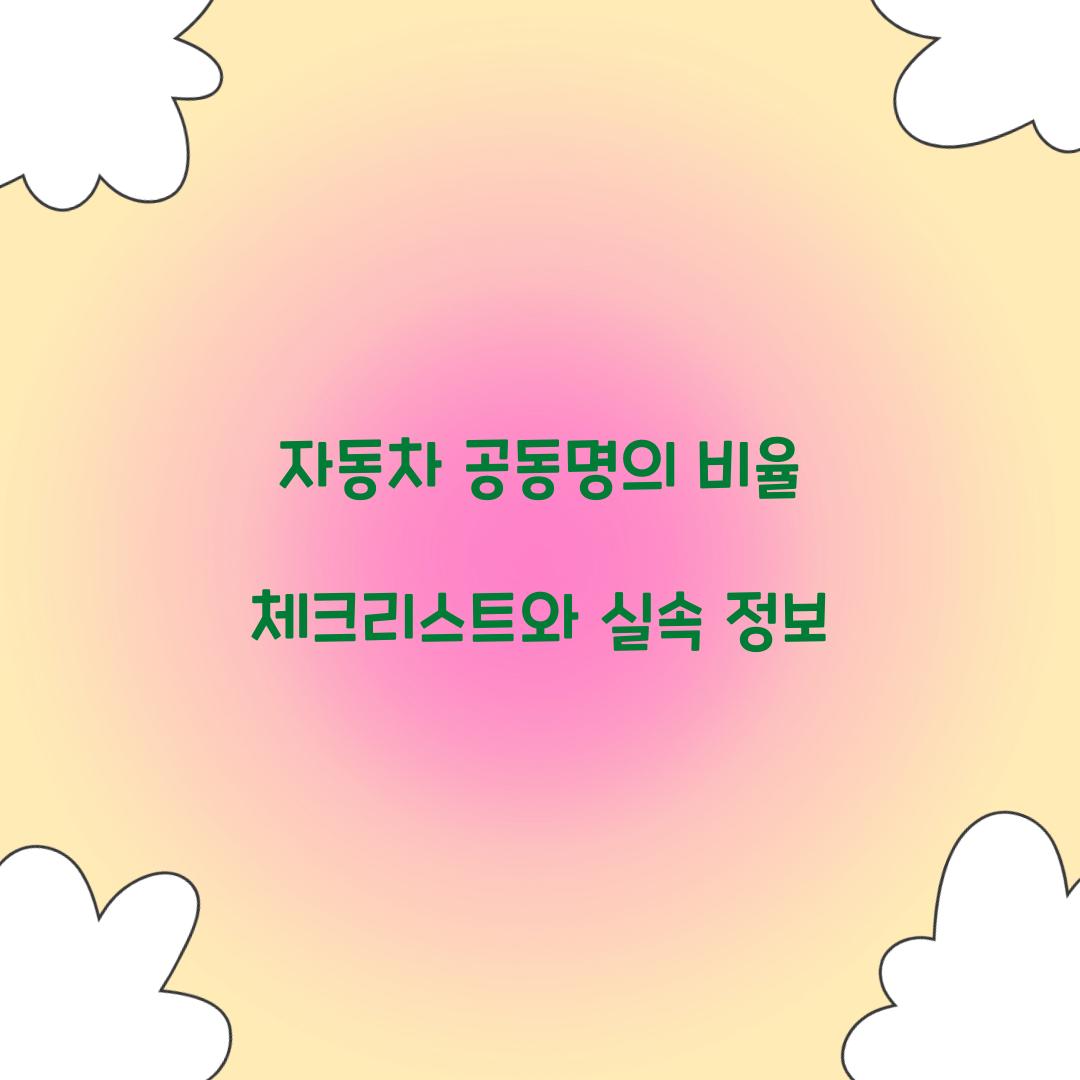 자동차 공동명의 비율