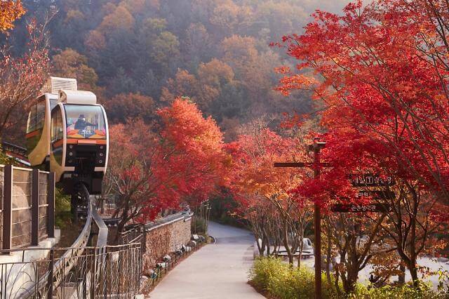 화담숲 모노레일 바로 예약하기