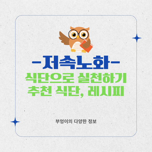 식단으로 실천하는 저속 노화: 추천 음식과 레시피