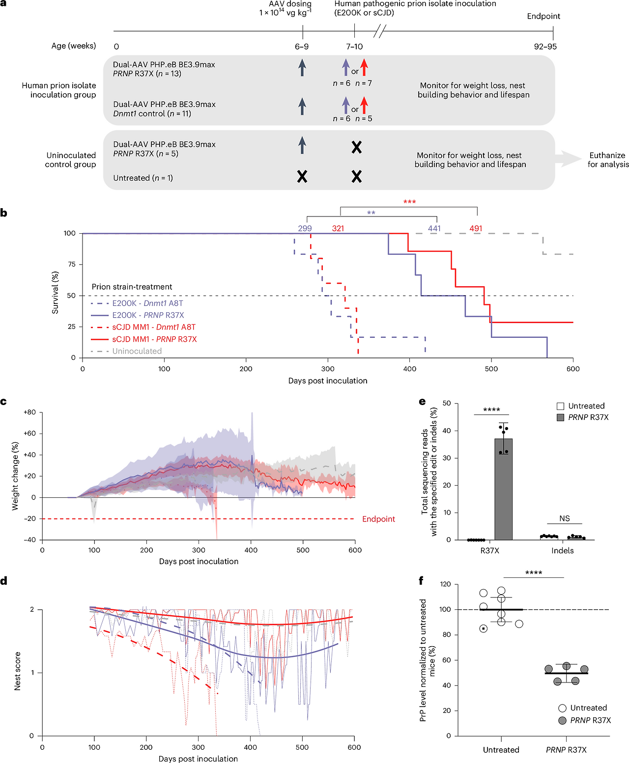 프리온 질환 모델에서 나타난 주요 연구 결과
