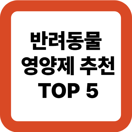 반려동물 영양제 추천 TOP 5
