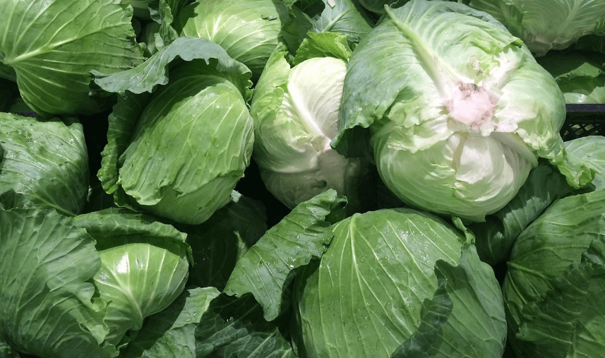 식이섬유가 많은 음식 - 1011