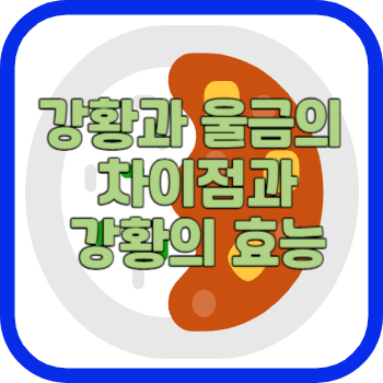 강황과 울금의 차이점과 강황의 효능