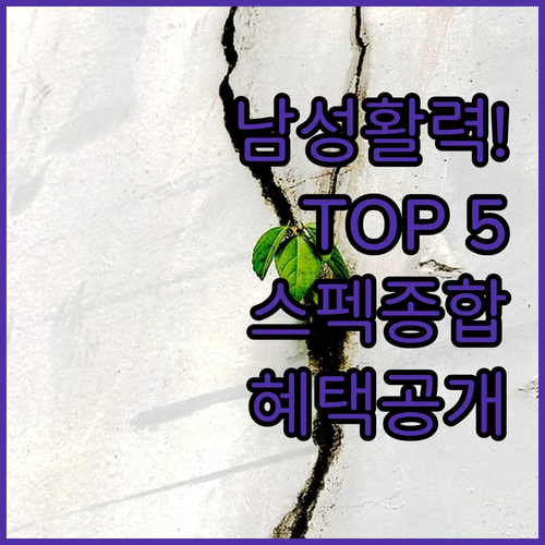 활력 증진을 위한 남성 영양제 TOP..