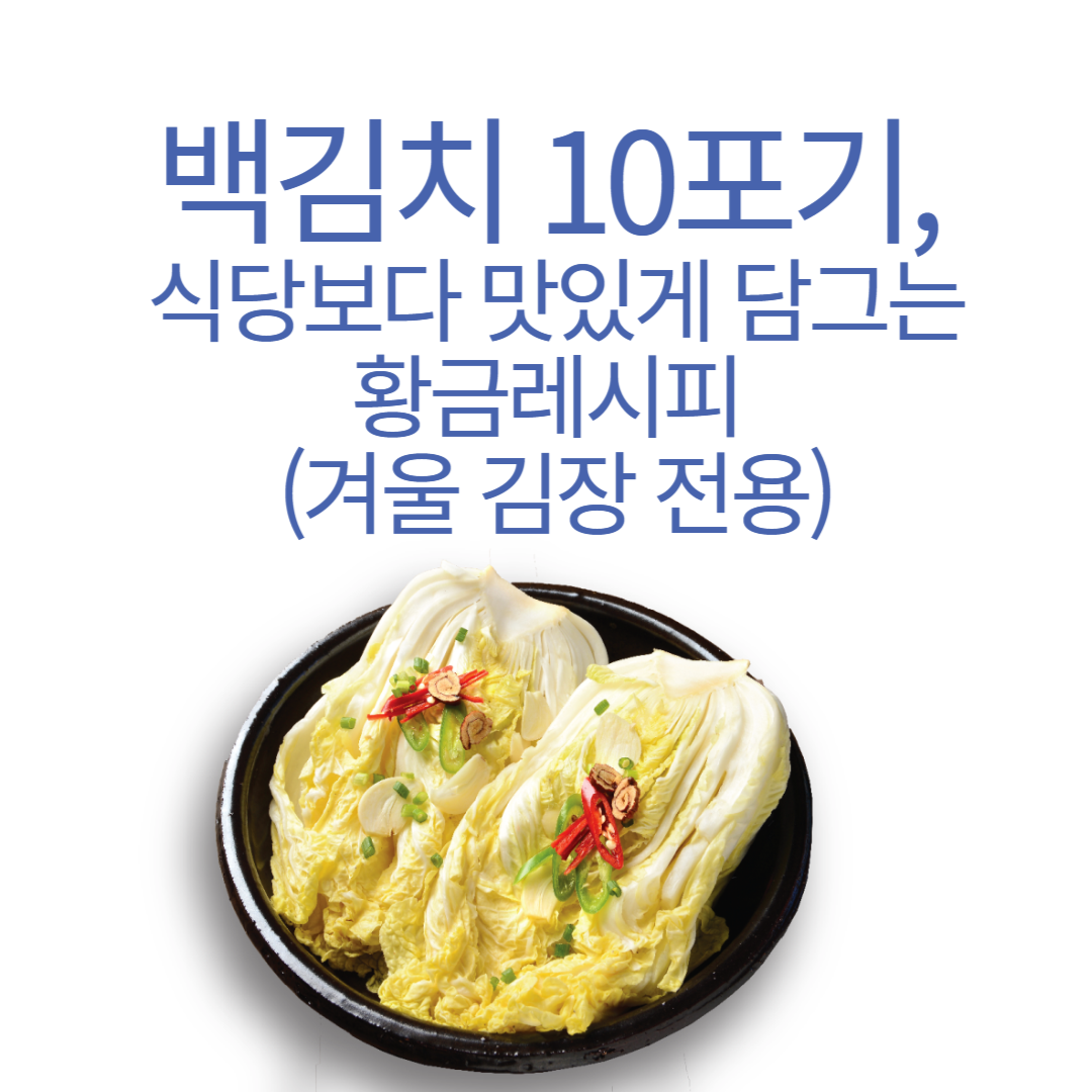백김치 10포기, 식당보다 맛있게 담그는 황금레시피 (겨울 김장 전용)