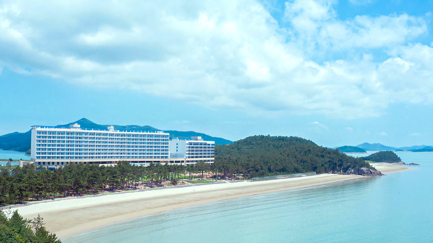 신안 퍼플섬 여행 가이드 - 보랏빛 낭만 속으로!