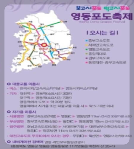 영동포도축제_12