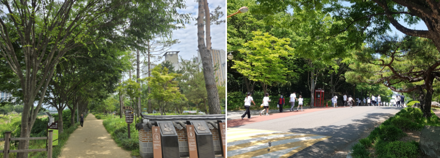 평택바람숲과 대구두류공원 도시숲 사진입니다.