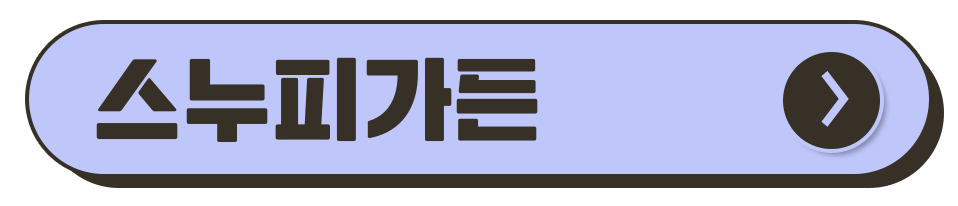 제주도 축제