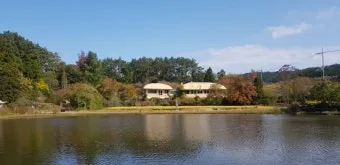 천리포 수목원 목련축제 입장료 여행코스_16