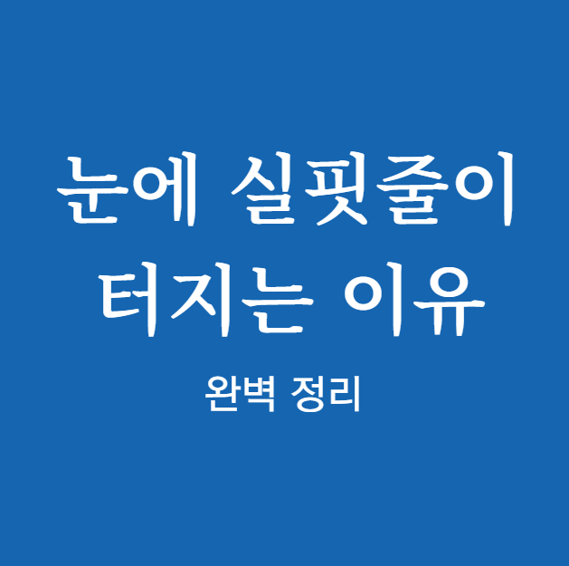 눈에 실핏줄이 터지는 이유 ❘ 확인하기