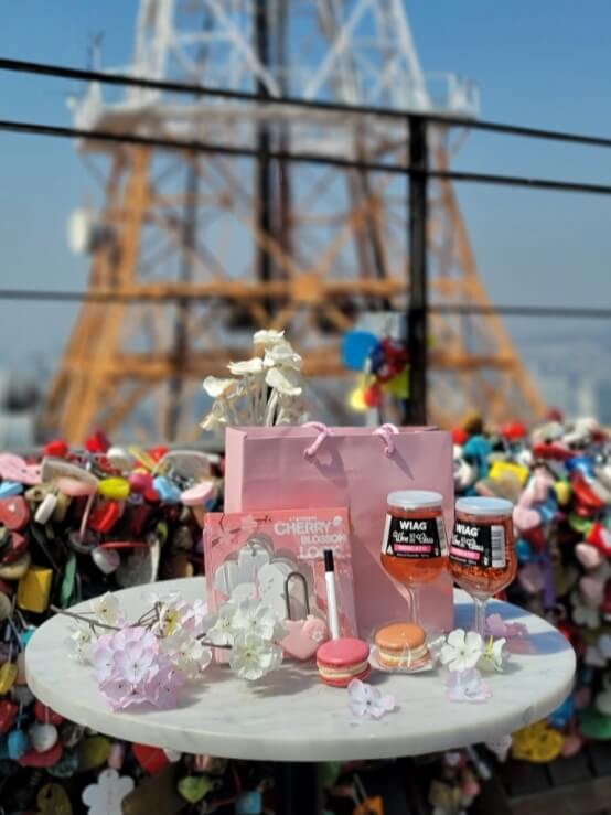 N서울타워 벚꽃축제 Blossom Tower