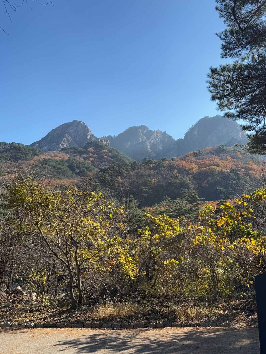 설악산 신흥사