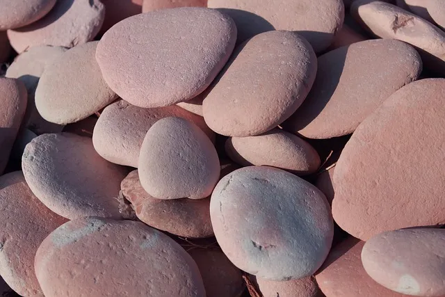 쿠팡 육개장 품절 대란 원인과 대체 상품_8