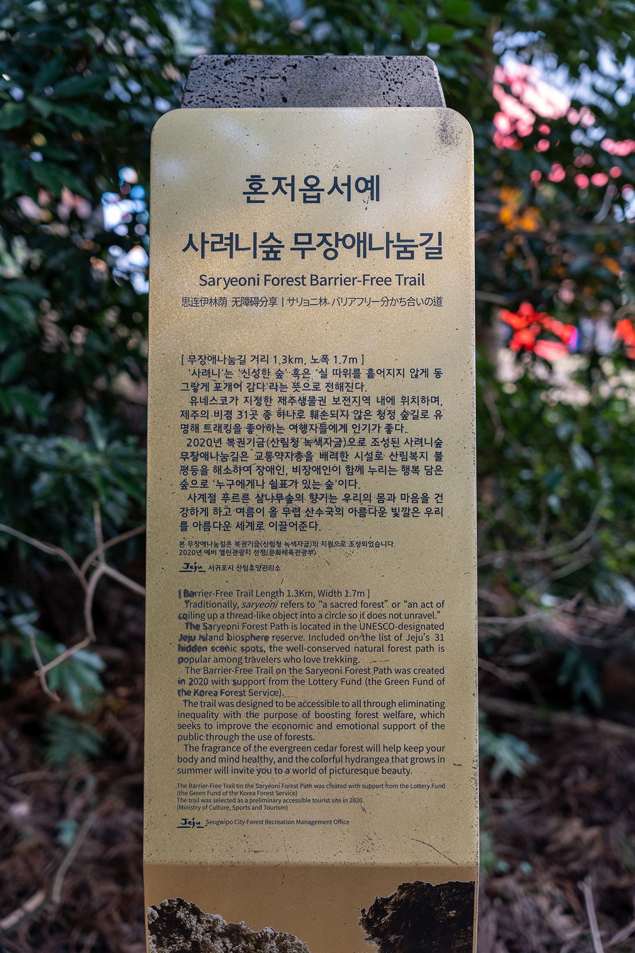 사려니 숲길 무장애나눔길