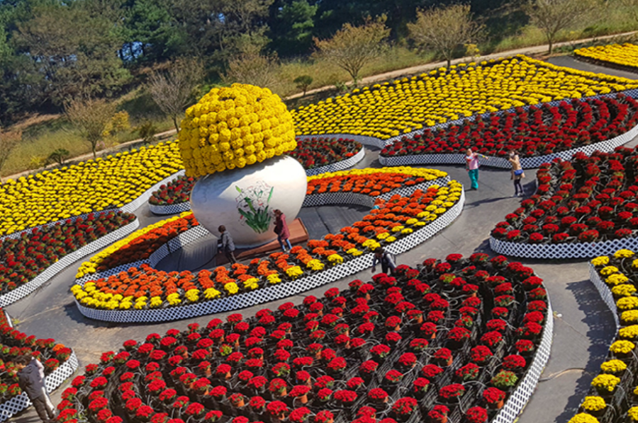 코리아플라워파크