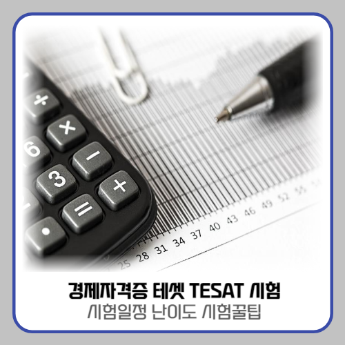 테셋 시험 일정
