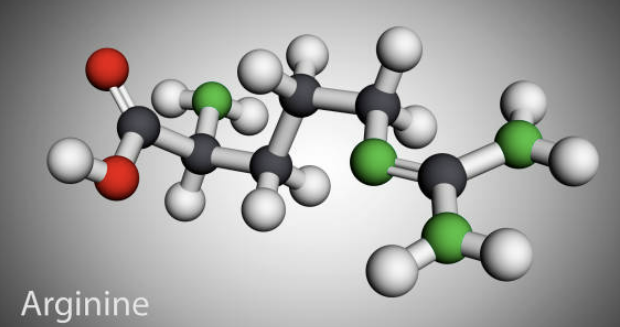 아르기닌 효능 부작용 복용법 하루섭취량 총정리(최신)
