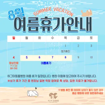 여름휴가 떠나기 좋은 국내 휴가지 추천 베스트 7 정리_15