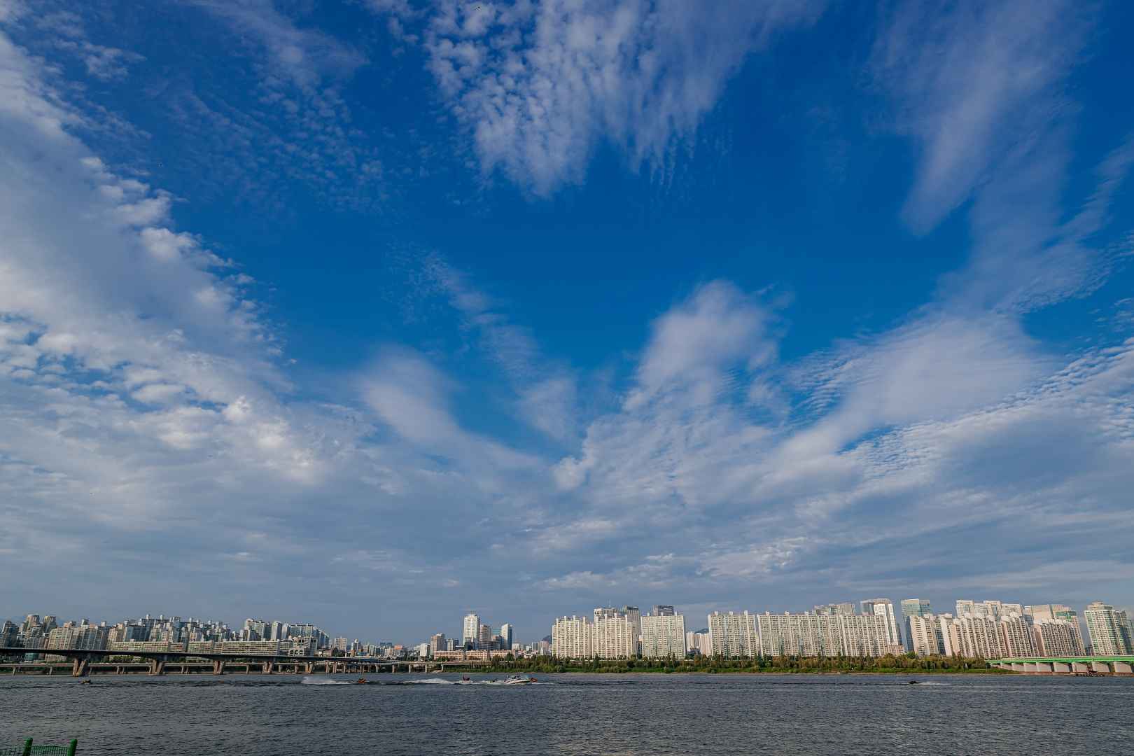 여의도 한강공원