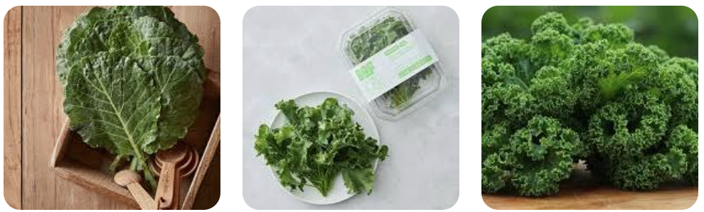 [뉴질랜드 슈퍼푸드] 유기농 컬리케일 씨앗부터 분말, 쥬스까지! 가격 재배 성분 효능·재배법·요리 레시피 먹는법 총정리(40대 50대 60대 건강,부작용 혈당 항암 주의할점)