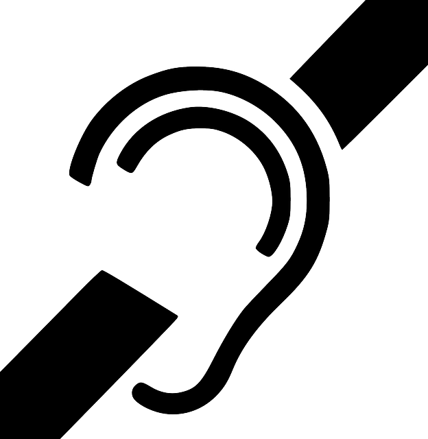 돌발성 난청 증상 원인 치료법 병원