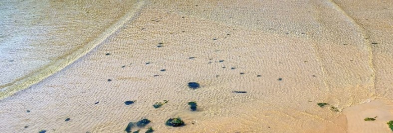 상주 은모래비치(5)