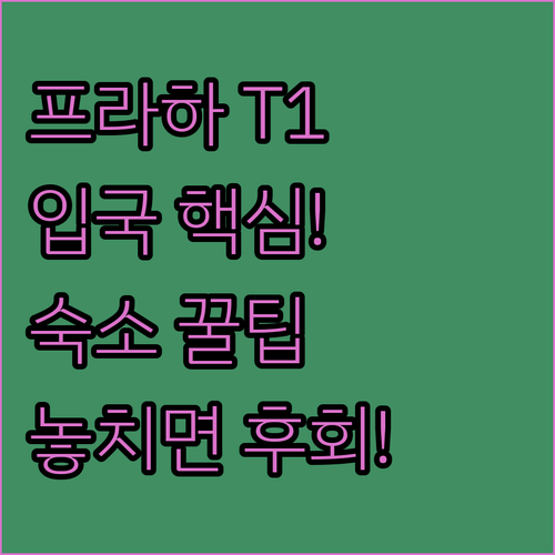 프라하 바츨라프 하벨 공항 T1 도착..