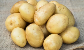 감자 삶는법 뉴슈가