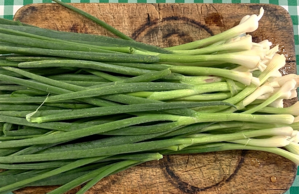 초록색 체크무늬 식탁보 위, 세월의 흔적이 느껴지는 나무 도마 위에 놓인 싱싱하고 물기 어린 쪽파 다발.