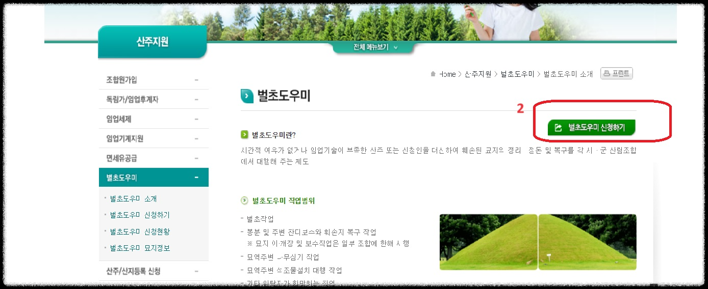 벌초 대행