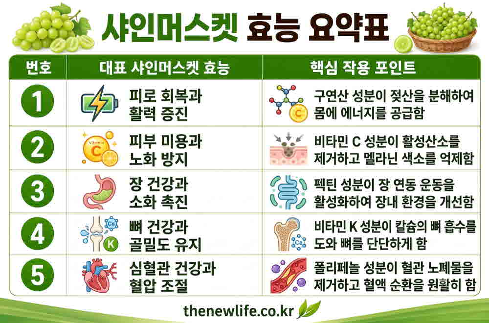 샤인머스켓 효능 요약표