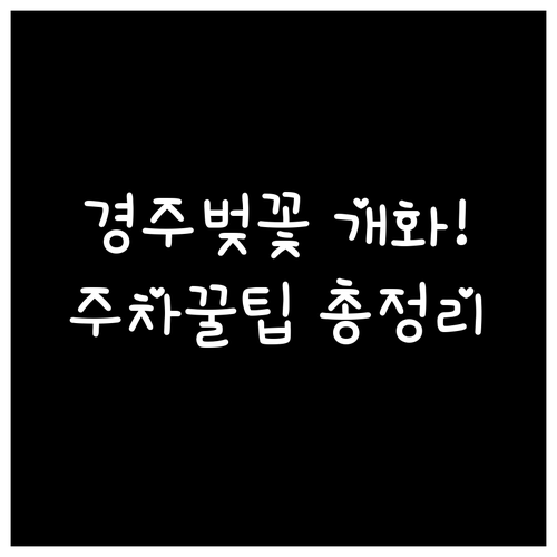 경주 벚꽃 개화일과 축제 일정 주차장..