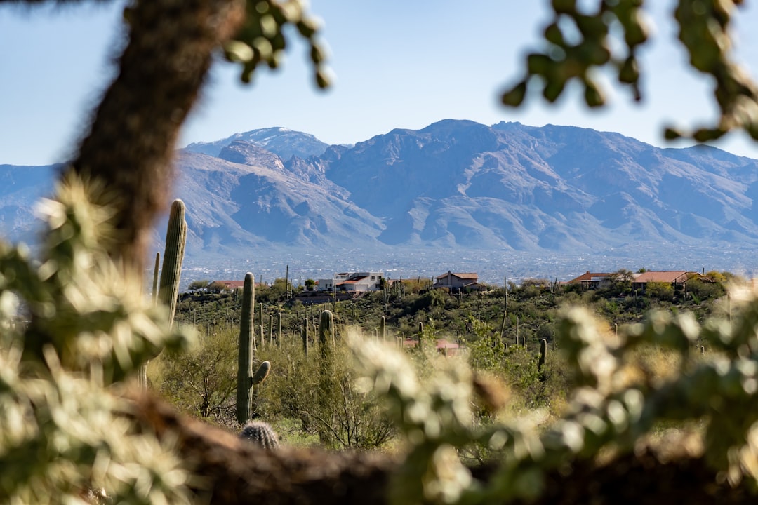 Tucson