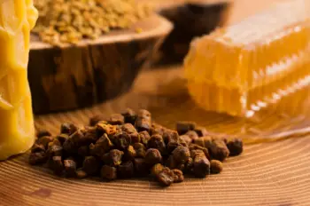 면역력 높이는 영양제 프로폴리스 효능 및 부작용