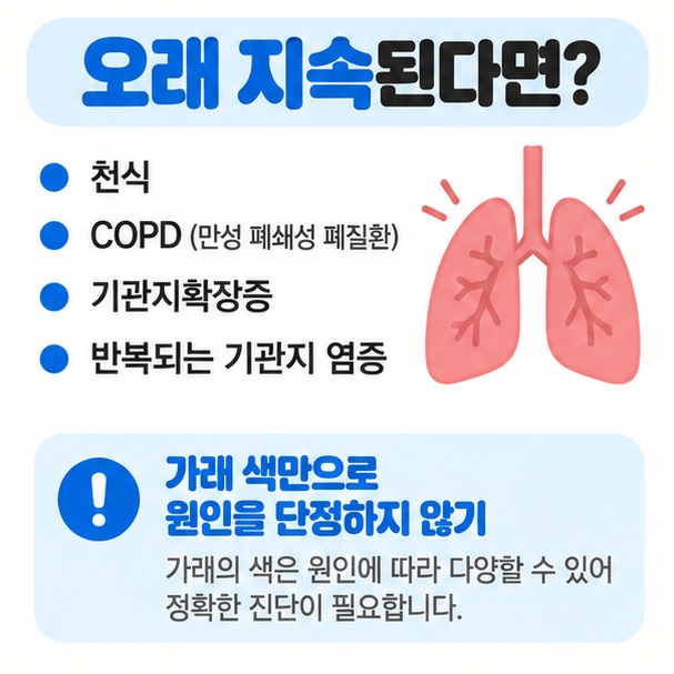 가래가 오래갈 때 천식 COPD 기관지확장증 같은 원인을 확인할 수 있음을 정리한 카드뉴스