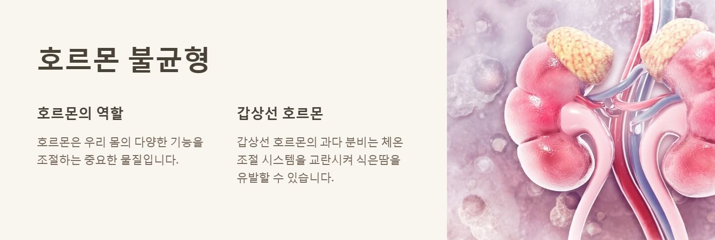 밤에 잘때 식은땀 나는 이유