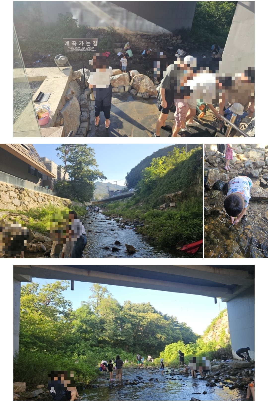 스타벅스 용인고기동유원지