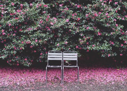 제주 여행 2박3일 추천코스(자유여행)