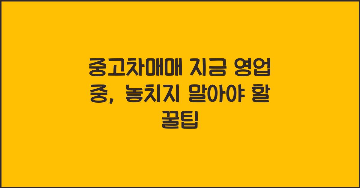 중고차매매 지금 영업 중