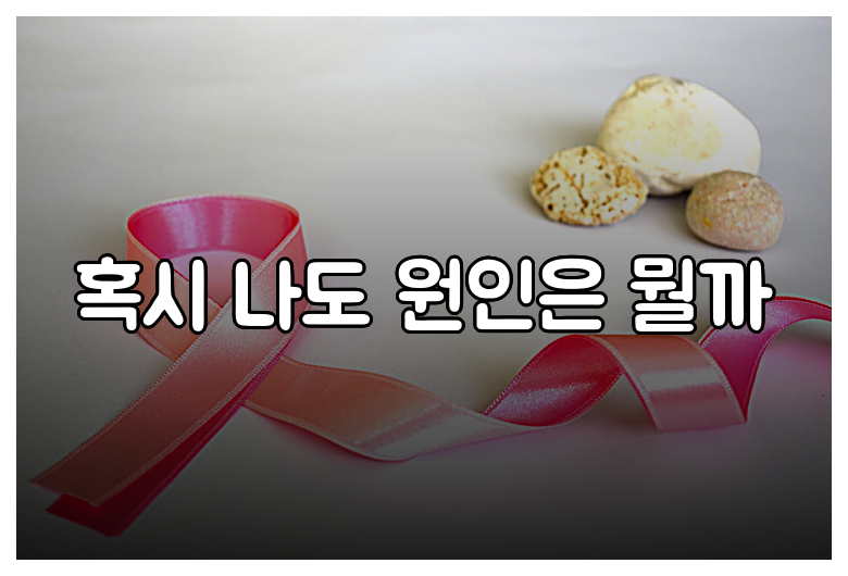 혹시 나도 원인은 뭘까