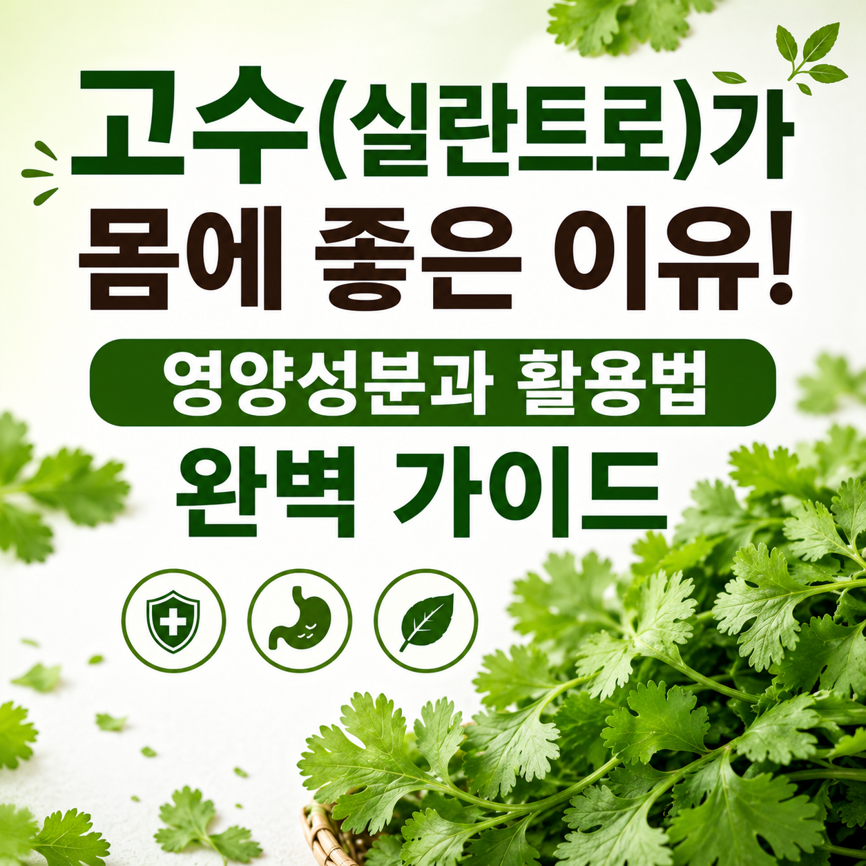 고수 효능