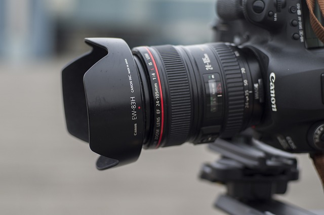 자연 다큐멘터리를 위한 장비와 테크닉 4가지