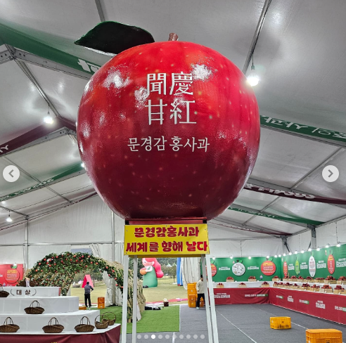 문경사과축제