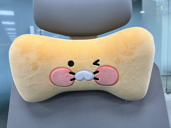 의자에 걸어본 모습