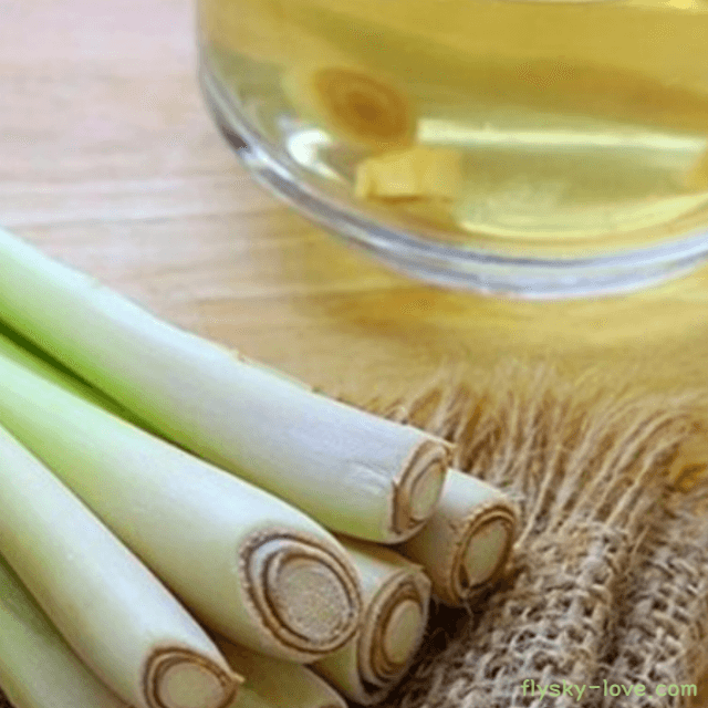 레몬그라스(Lemongrass), 레몬그라스 오일