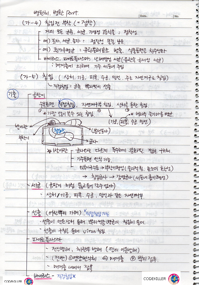 병환 - 부착, 침입, 감염, 발병