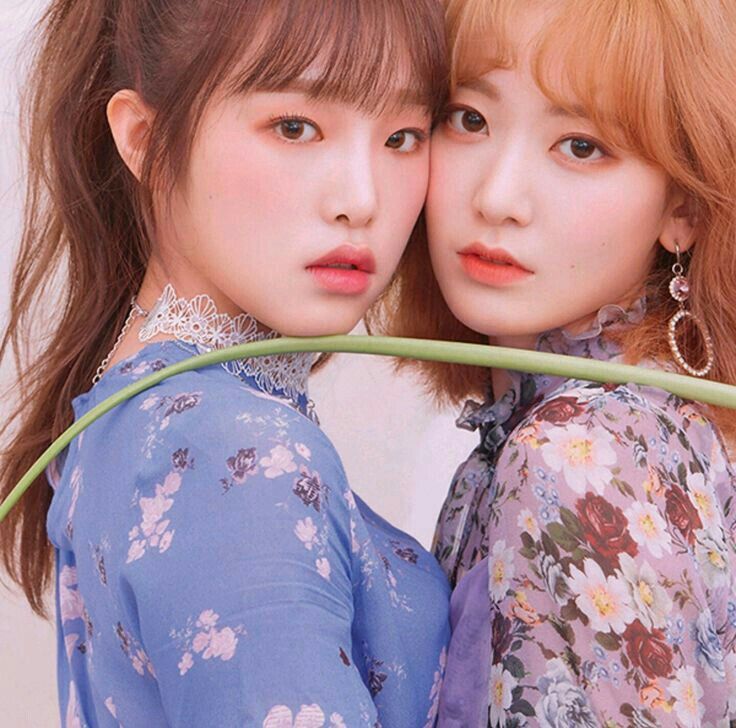 아이즈원 프로듀스48 사진 모음