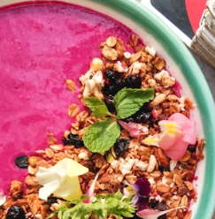 비트 효능 및 부작용 먹는 방법 칼로리 소변색